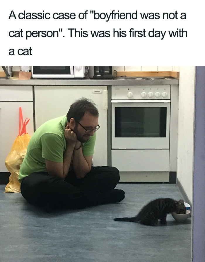 A classic case of "boyfriend was not a cat person". This was his first day with a cat 000