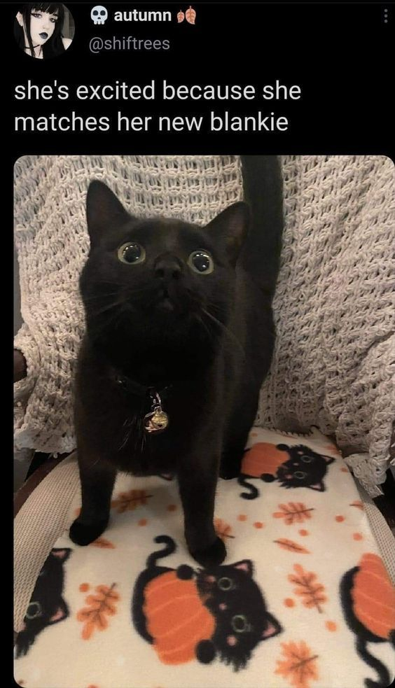 autumn @shiftrees she's excited because she matches her new blankie