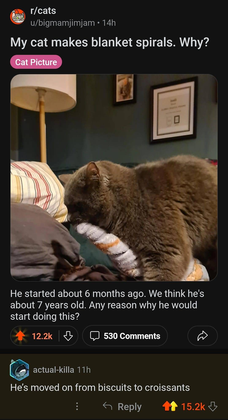 r/cats u/bigmamjimjam • 14h My cat makes blanket spirals. Why? Cat Picture 11 He started about 6 months ago. We think he's about 7 years old. Any reason why he would start doing this? 12.2k 530 Comments actual-killa 11h He's moved on from biscuits to croissants Reply 15.2k