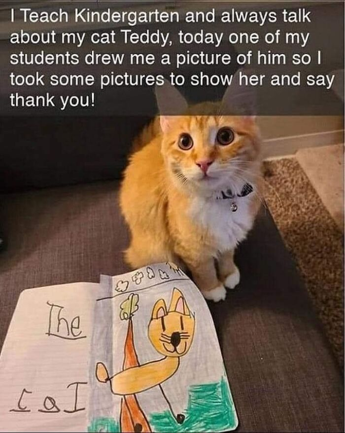 I Teach Kindergarten and always talk about my cat Teddy, today one of my students drew me a picture of him so I took some pictures to show her and say thank you! The Ia I