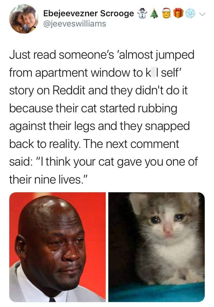 Ebejeevezner Scrooge @jeeveswilliams Just read someone's 'almost jumped from apartment window to k I self' story on Reddit and they didn't do it because their cat started rubbing against their legs and they snapped back to reality. The next comment said: "I think your cat gave you one of their nine lives."