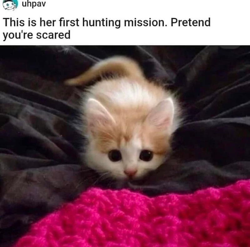 uhpav This is her first hunting mission. Pretend you're scared