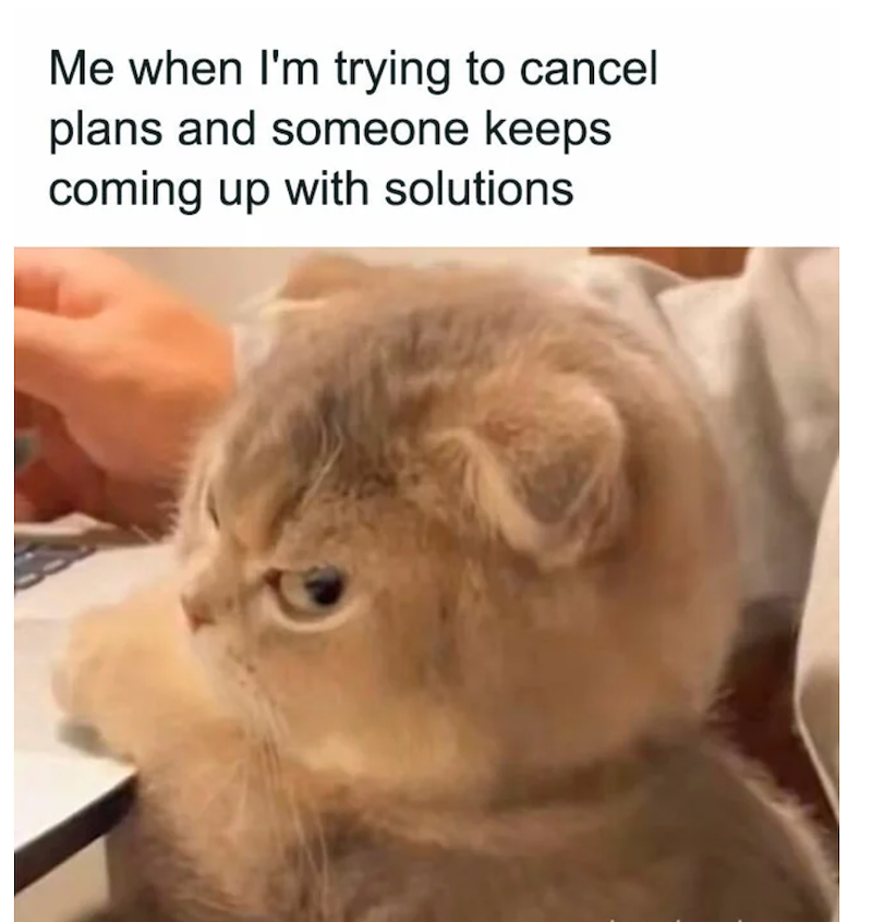 Me when I'm trying to cancel plans and someone keeps coming up with solutions