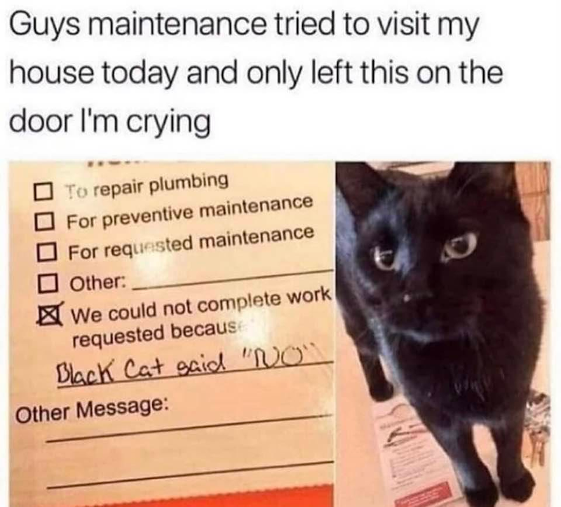 Guys maintenance tried to visit my house today and only left this on the door I'm crying ☐ To repair plumbing For preventive maintenance For requested maintenance Other: ☑ We could not complete work requested because Black Cat said "NO" Other Message: