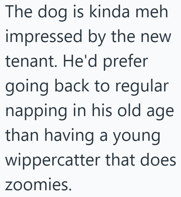 The dog is kinda meh impressed by the new tenant. He'd prefer going back to regular napping in his old age than having a young wippercatter that does zoomies.