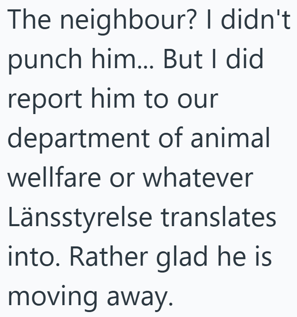 The neighbour? I didn't punch him... But I did report him to our department of animal wellfare or whatever Länsstyrelse translates into. Rather glad he is moving away.