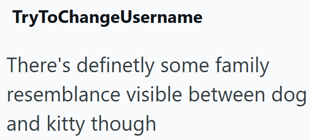 TryToChangeUsername There's definetly some family resemblance visible between dog and kitty though