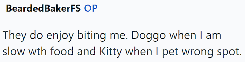 BeardedBakerFS OP They do enjoy biting me. Doggo when I am slow wth food and Kitty when I pet wrong spot.