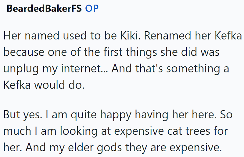 Bearded BakerFS OP Her named used to be Kiki. Renamed her Kefka because one of the first things she did was unplug my internet... And that's something a Kefka would do. But yes. I am quite happy having her here. So much I am looking at expensive cat trees for her. And my elder gods they are expensive.