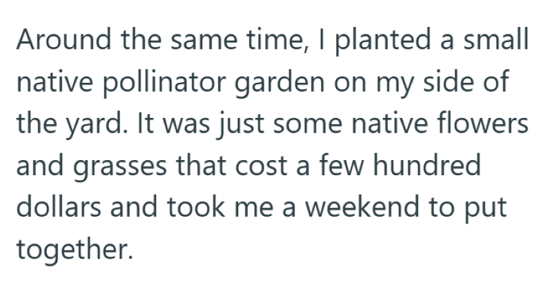 Around the same time, I planted a small native pollinator garden on my side of the yard. It was just some native flowers and grasses that cost a few hundred dollars and took me a weekend to put together.