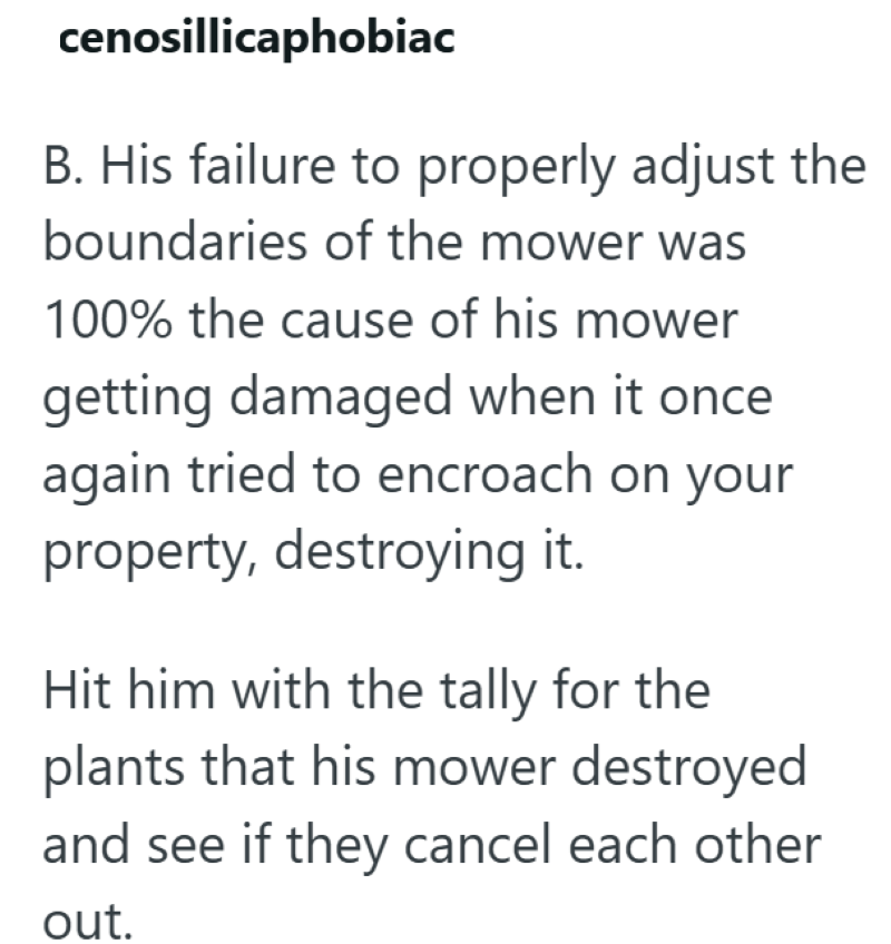 cenosillicaphobiac B. His failure to properly adjust the boundaries of the mower was 100% the cause of his mower getting damaged when it once again tried to encroach on your property, destroying it. Hit him with the tally for the plants that his mower destroyed and see if they cancel each other out.