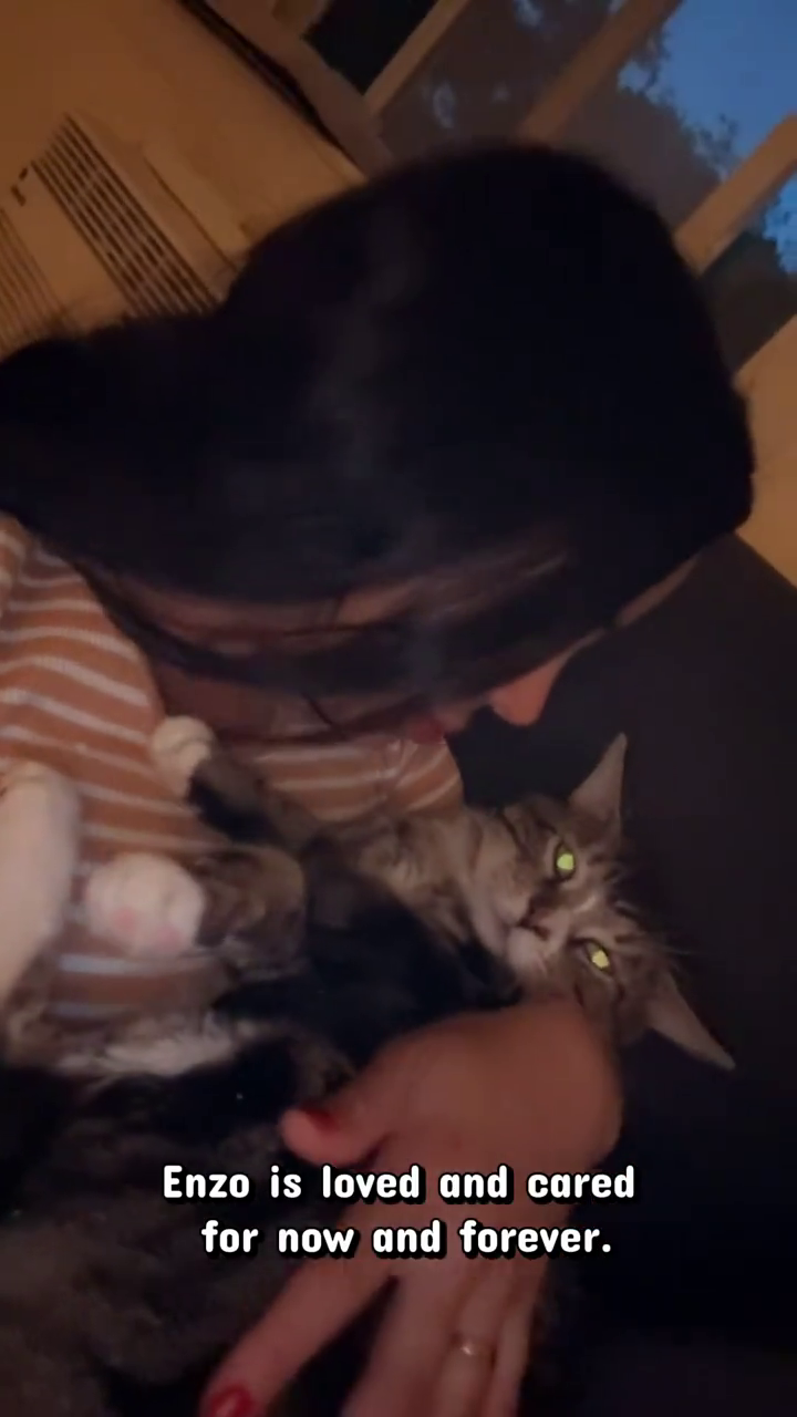 Enzo is loved and cared for now and forever.