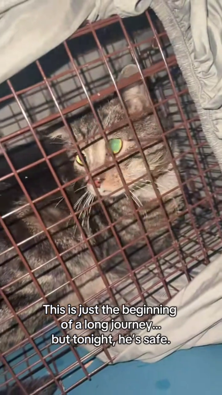This is just the beginning of a long journey... but tonight, he's safe.