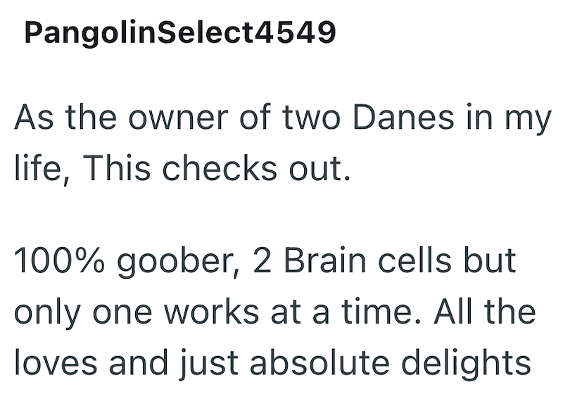 PangolinSelect4549 As the owner of two Danes in my life, This checks out. 100% goober, 2 Brain cells but only one works at a time. All the loves and just absolute delights