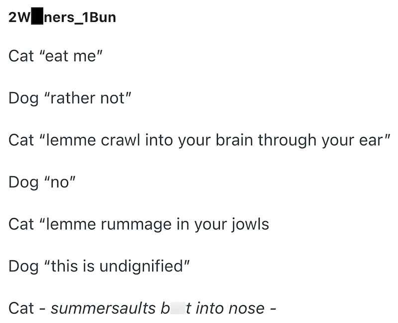 2W ners_1Bun Cat "eat me" Dog "rather not" Cat "lemme crawl into your brain through your ear" Dog "no" Cat "lemme rummage in your jowls Dog "this is undignified" Cat summersaults bt into nose ·