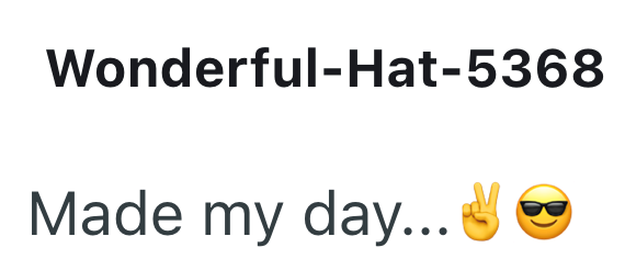 Wonderful-Hat-5368 Made my day...