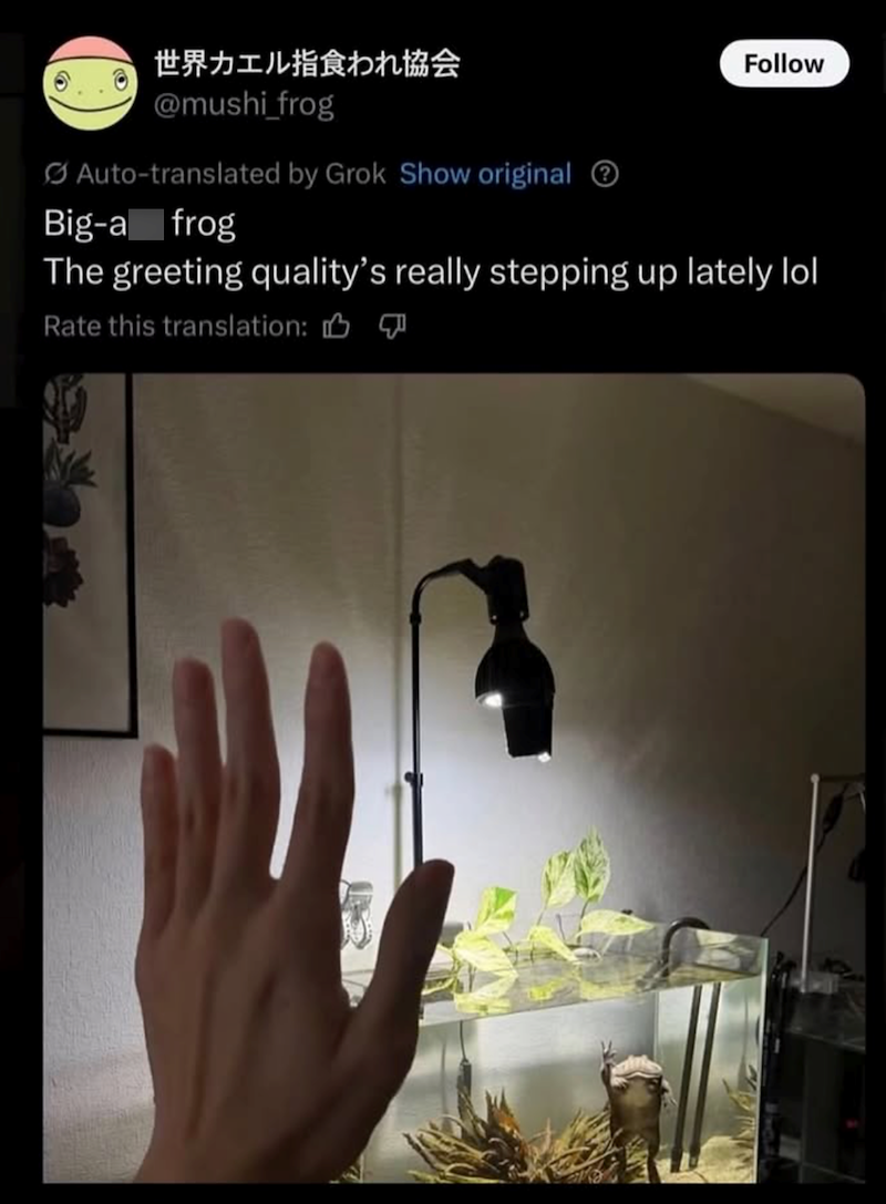 世界カエル指食われ協会 @mushi_frog Auto-translated by Grok Show original Big-a frog Follow The greeting quality's really stepping up lately lol Rate this translation: B 5