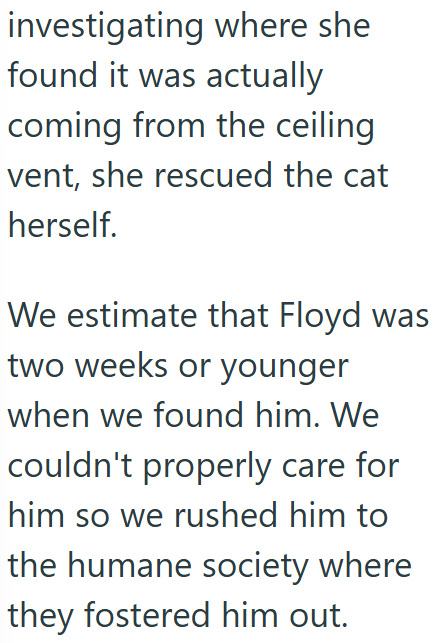 investigating where she found it was actually coming from the ceiling vent, she rescued the cat herself. We estimate that Floyd was two weeks or younger when we found him. We couldn't properly care for him so we rushed him to the humane society where they fostered him out.