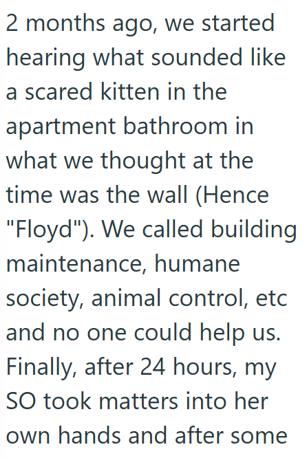 2 months ago, we started hearing what sounded like a scared kitten in the apartment bathroom in what we thought at the time was the wall (Hence "Floyd"). We called building maintenance, humane society, animal control, etc and no one could help us. Finally, after 24 hours, my SO took matters into her own hands and after some