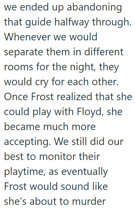 we ended up abandoning that guide halfway through. Whenever we would separate them in different rooms for the night, they would cry for each other. Once Frost realized that she could play with Floyd, she became much more accepting. We still did our best to monitor their playtime, as eventually Frost would sound like she's about to murder