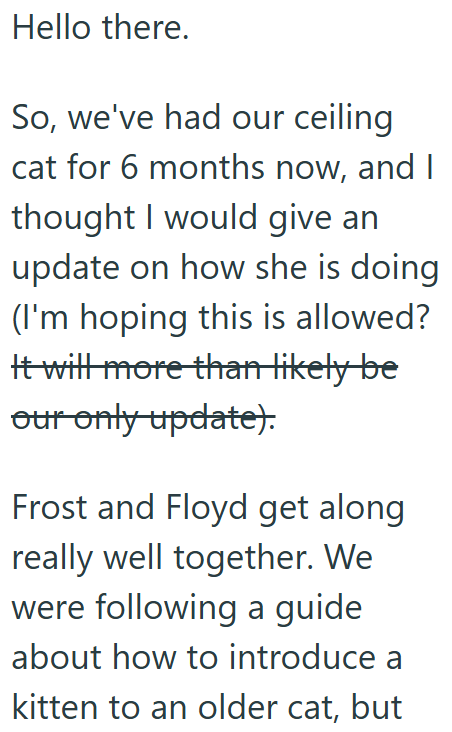 Hello there. So, we've had our ceiling cat for 6 months now, and I thought I would give an update on how she is doing (I'm hoping this is allowed? It will more than likely be our only update). Frost and Floyd get along really well together. We were following a guide about how to introduce a kitten to an older cat, but
