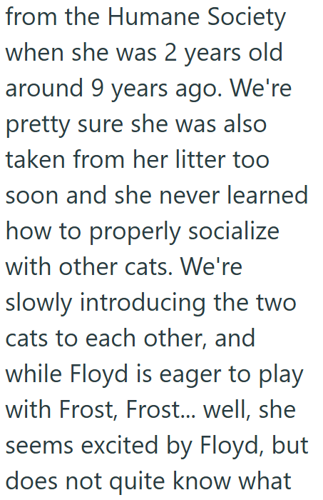 from the Humane Society when she was 2 years old around 9 years ago. We're pretty sure she was also taken from her litter too soon and she never learned how to properly socialize with other cats. We're slowly introducing the two. cats to each other, and while Floyd is eager to play with Frost, Frost... well, she seems excited by Floyd, but does not quite know what