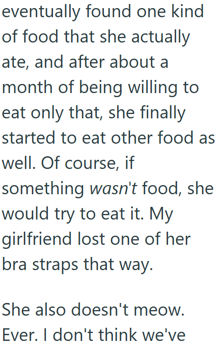 eventually found one kind of food that she actually ate, and after about a month of being willing to eat only that, she finally started to eat other food as well. Of course, if something wasn't food, she would try to eat it. My girlfriend lost one of her bra straps that way. She also doesn't meow. Ever. I don't think we've