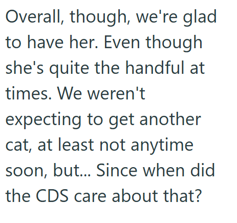 Overall, though, we're glad to have her. Even though she's quite the handful at times. We weren't expecting to get another cat, at least not anytime soon, but... Since when did the CDS care about that?