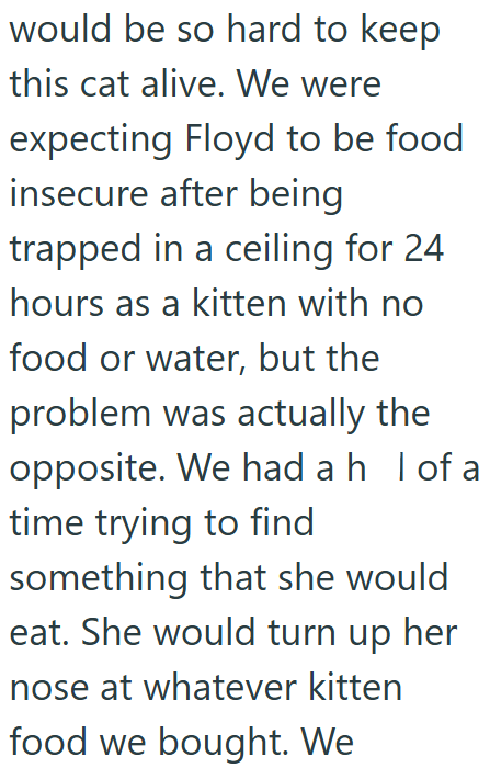 would be so hard to keep this cat alive. We were expecting Floyd to be food insecure after being trapped in a ceiling for 24 hours as a kitten with no food or water, but the problem was actually the opposite. We had a h I of a time trying to find something that she would eat. She would turn up her nose at whatever kitten food we bought. We