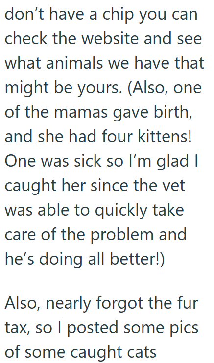 don't have a chip you can check the website and see what animals we have that might be yours. (Also, one of the mamas gave birth, and she had four kittens! One was sick so I'm glad I caught her since the vet was able to quickly take care of the problem and he's doing all better!) Also, nearly forgot the fur tax, so I posted some pics of some caught cats
