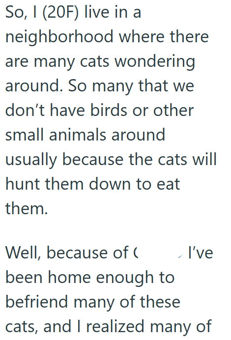 So, I (20F) live in a neighborhood where there are many cats wondering around. So many that we don't have birds or other small animals around usually because the cats will hunt them down to eat them. Well, because of ( I've been home enough to befriend many of these cats, and I realized many of