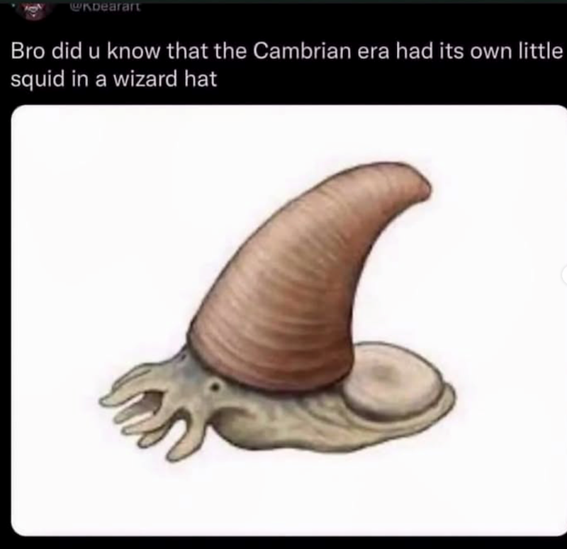 @KDearart Bro did u know that the Cambrian era had its own little squid in a wizard hat
