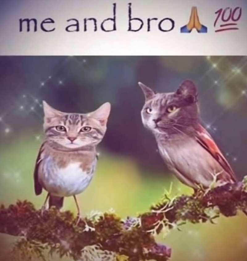 me and bro A700
