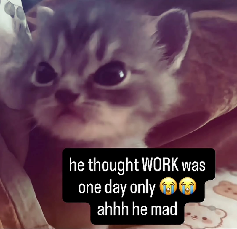 he thought WORK was one day only ahhh he mad G