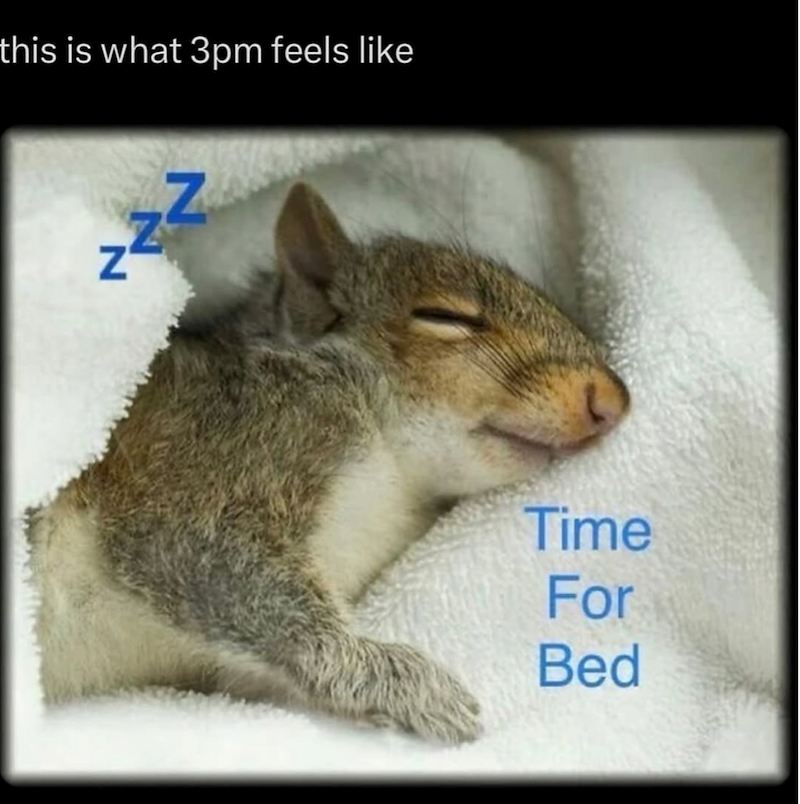 this is what 3pm feels like N N Time For Bed