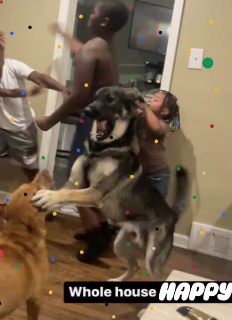 Whole house HAPPY