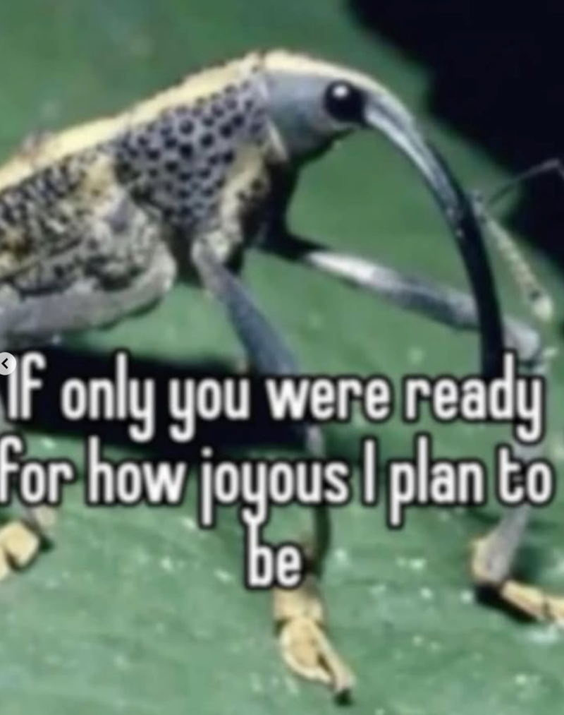 If only you were ready For how joyous I plan to be