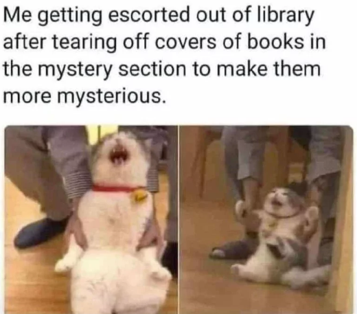 Me getting escorted out of library after tearing off covers of books in the mystery section to make them more mysterious.
