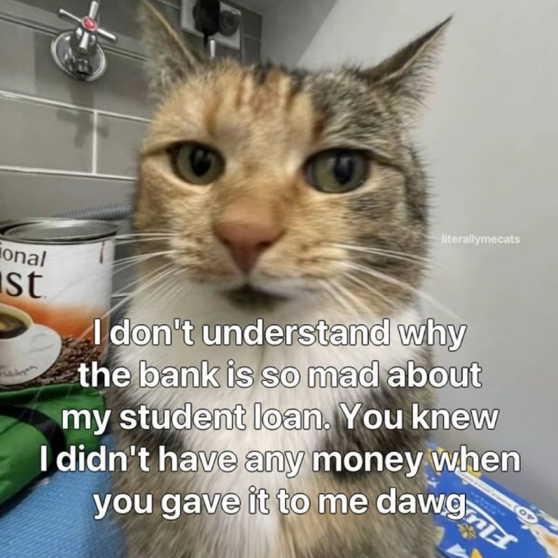 literallymecats onal st I don't understand why the bank is so mad about my student loan. You knew I didn't have any money when you gave it to me dawg daw.g