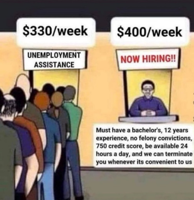 $330/week UNEMPLOYMENT ASSISTANCE $400/week NOW HIRING!! Must have a bachelor's, 12 years experience, no felony convictions, 750 credit score, be available 24 hours a day, and we can terminate you whenever its convenient to us