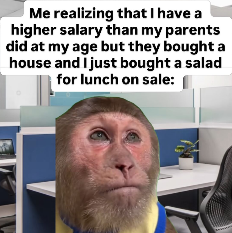 Me realizing that I have a higher salary than my parents did at my age but they bought a house and I just bought a salad for lunch on sale: