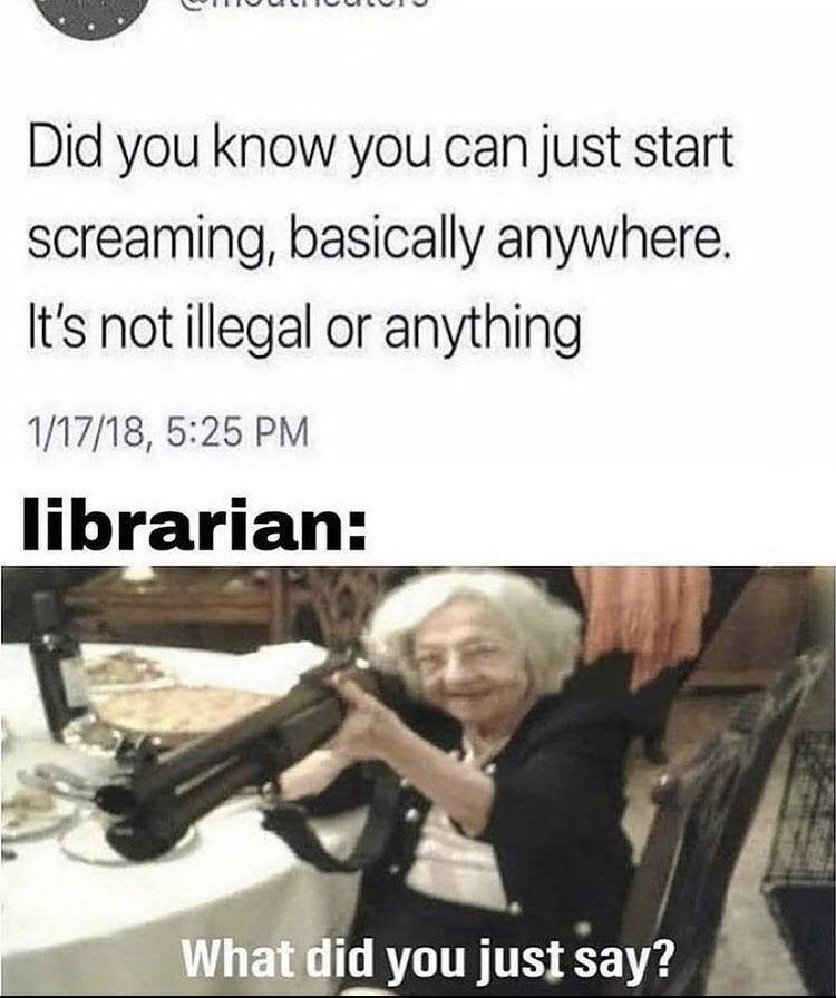 Did you know you can just start screaming, basically anywhere. It's not illegal or anything 1/17/18, 5:25 PM librarian: What did you just say?