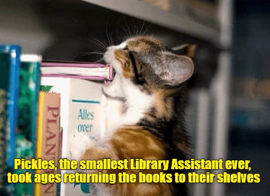 Alles over Pickles, the smallest Library Assistant ever, took ages returning the books to their shelves PLAN