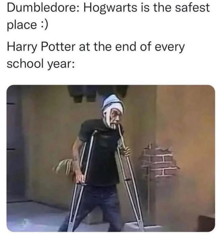 Dumbledore: Hogwarts is the safest place :) Harry Potter at the end of every school year: