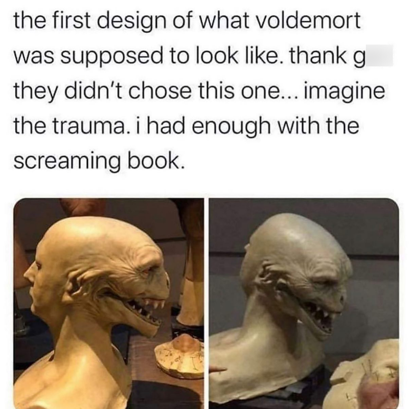 the first design of what voldemort was supposed to look like. thank g they didn't chose this one... imagine the trauma. i had enough with the screaming book.