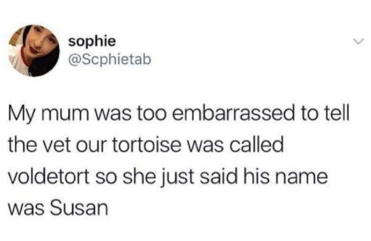 sophie @Scphietab My mum was too embarrassed to tell the vet our tortoise was called voldetort so she just said his name was Susan