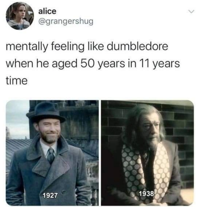 alice @grangershug mentally feeling like dumbledore when he aged 50 years in 11 years time 1927 1938