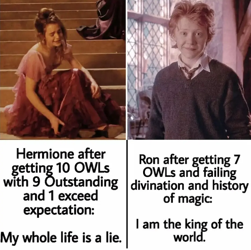 Hermione after getting 10 OWLS with 9 Outstanding and 1 exceed expectation: My whole life is a lie. Ron after getting 7 OWLS and failing divination and history of magic: I am the king of the world.