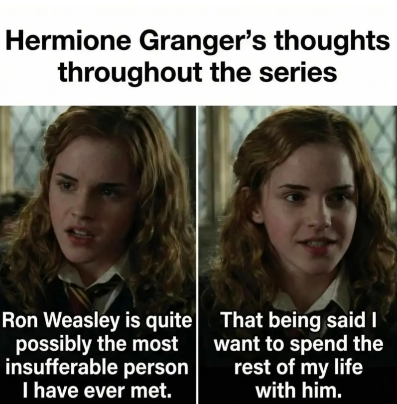 Hermione Granger's thoughts throughout the series Ron Weasley is quite possibly the most insufferable person I have ever met. That being said I want to spend the rest of my life with him.