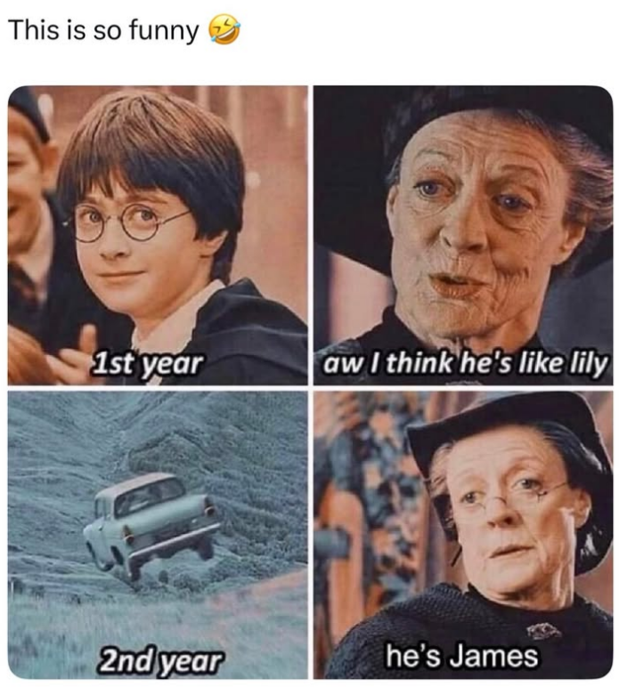 This is so funny 1st year aw I think he's like lily 2nd year he's James